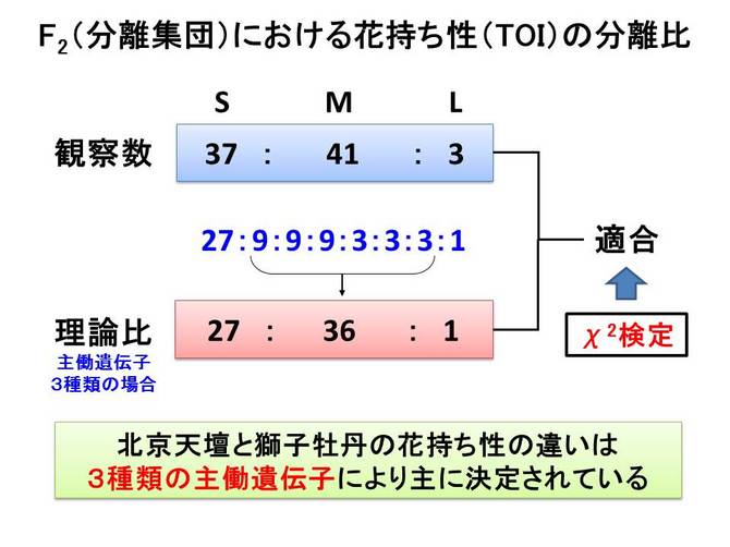 スライド9.JPG