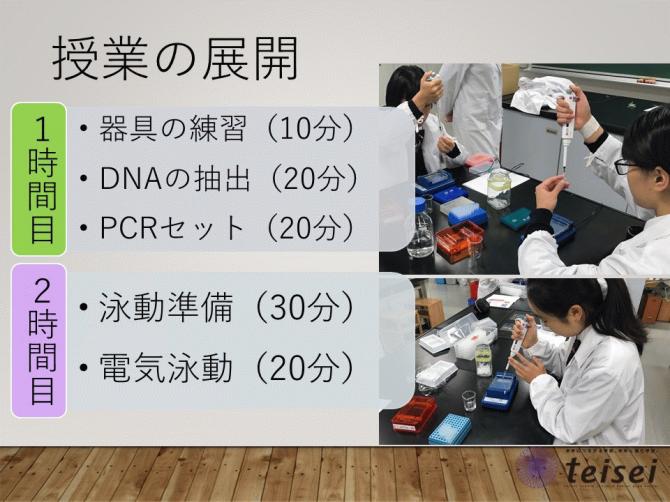 スライド28-0202001.JPG