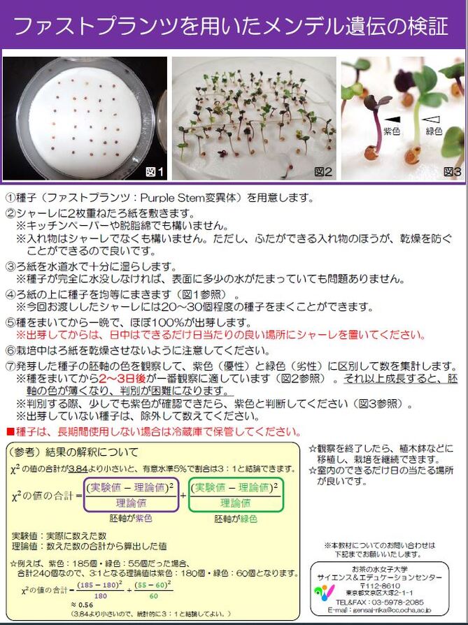 御茶ノ水メンデル遺伝.JPG